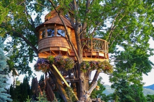 Treehouse